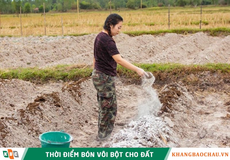 thời điểm bón vôi bột nông nghiệp
