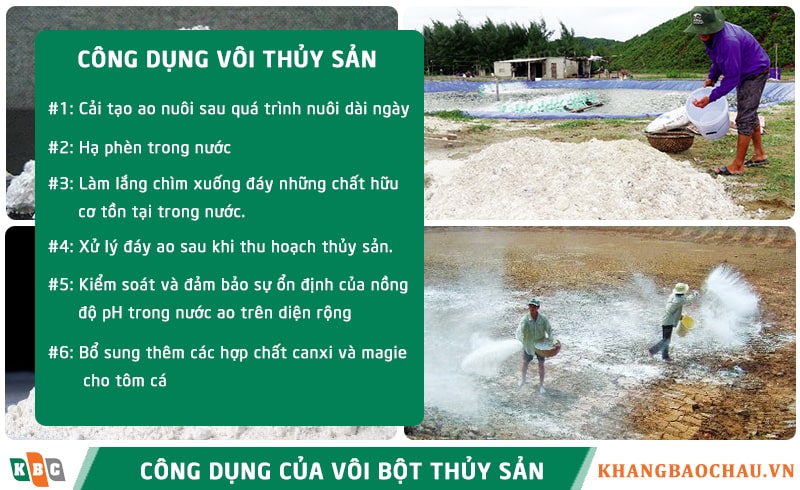 công dụng của vôi bột thủy sản